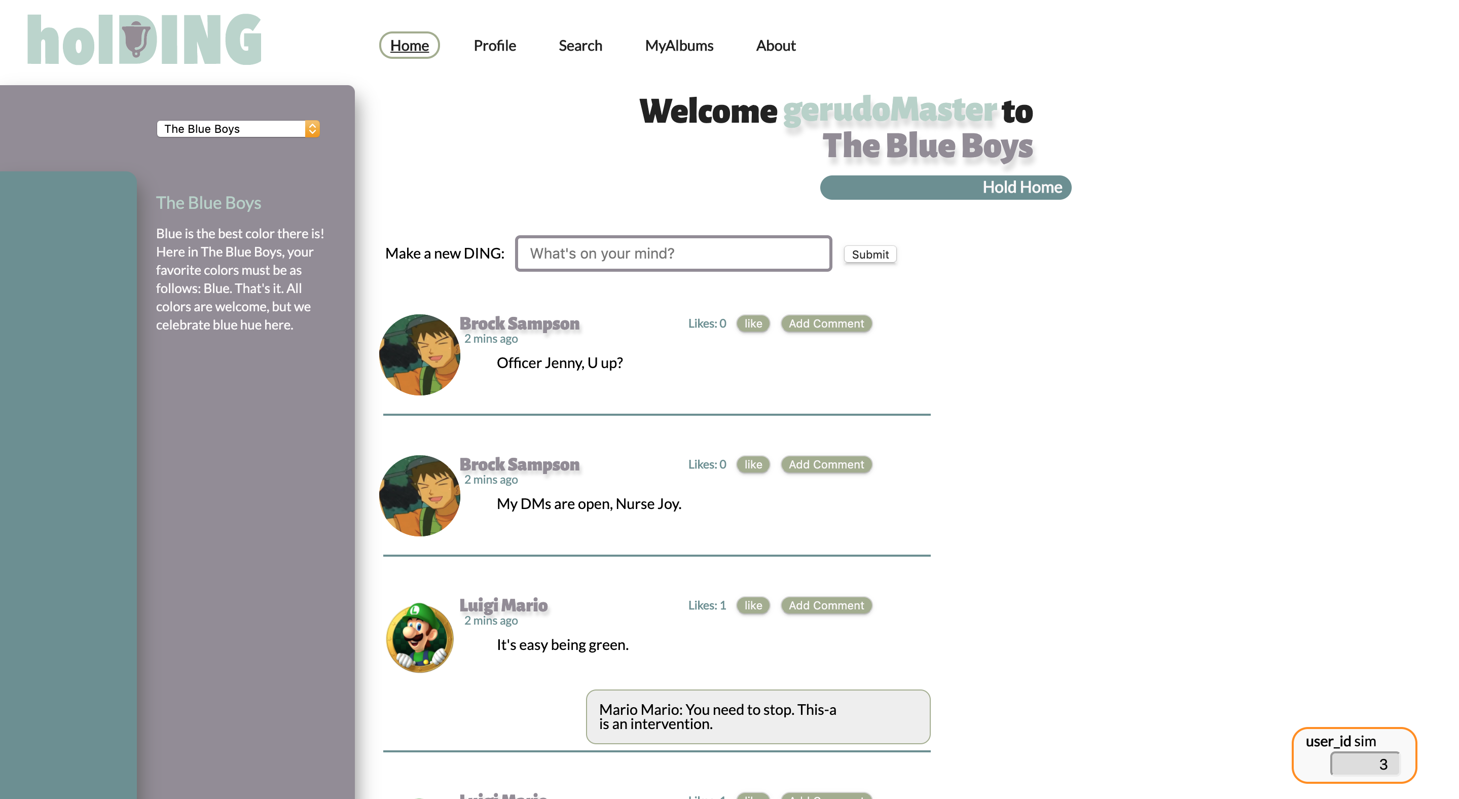 Screenshot of holDING project